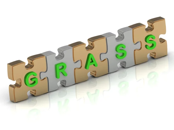 GRASS palabra de rompecabezas de oro — Foto de Stock
