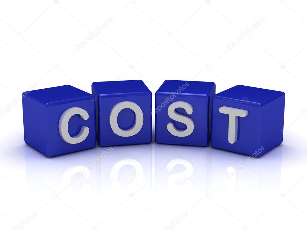 how much does word cost