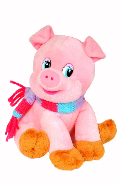 Soft toy. Pig. — Stock Photo, Image