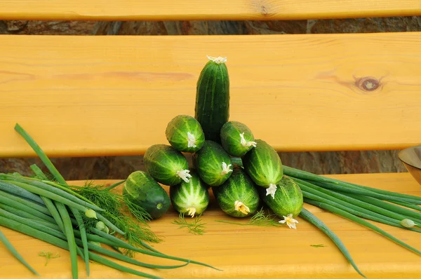 New crop of cucumbers and greens. — Stock Photo, Image