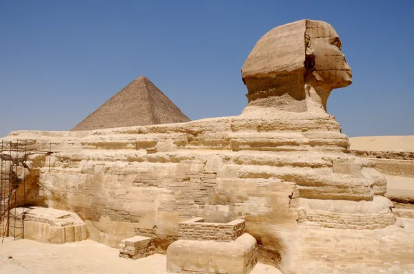 Sfinge contro le piramidi — Foto Stock