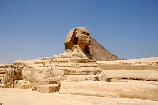 Sphinx against pyramids — Stock Photo, Image