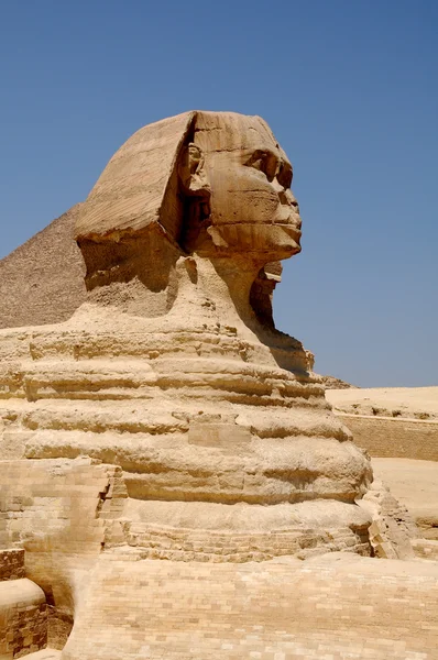 Sfinks z piramidy — Zdjęcie stockowe