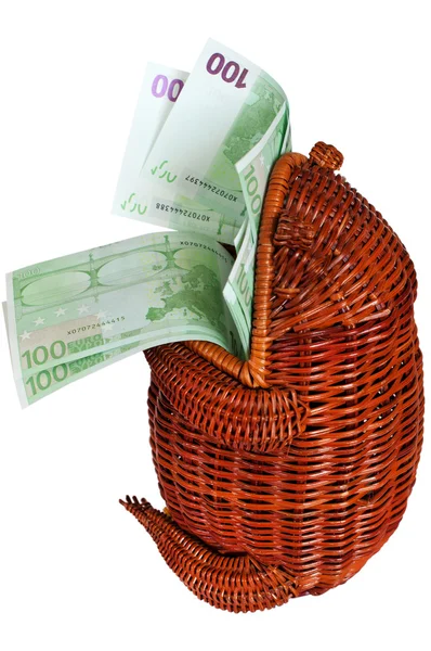 Cash euros in a wattled frog. — Stock Photo, Image