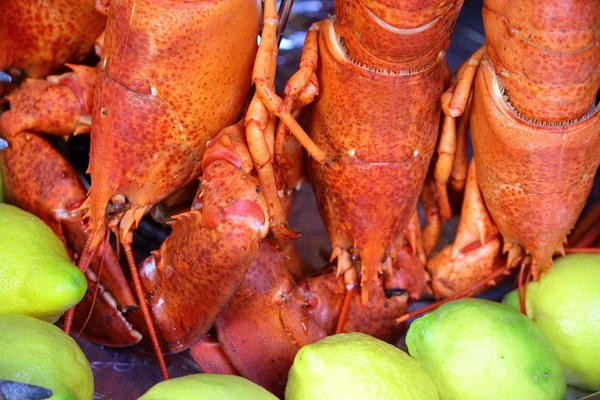 Delicious lobster — Stock Photo, Image
