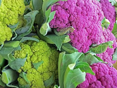 Colorful cauliflower clipart