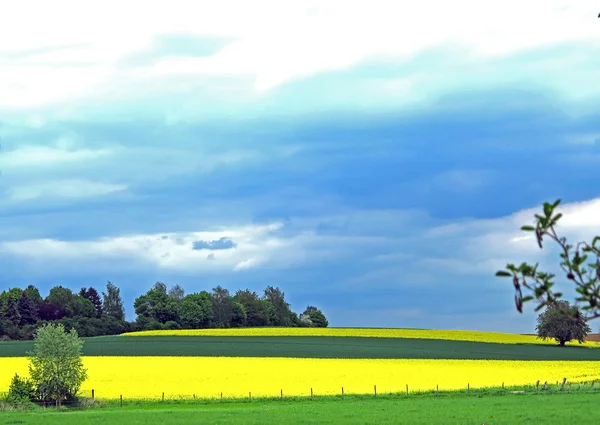 Немецкий сельскохозяйственный ландшафт — стоковое фото