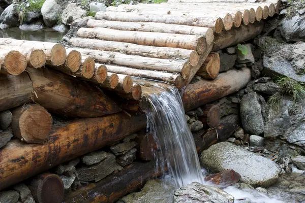 stock image Stream in the woods