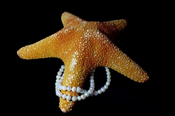 Convex starfish and a string of pearls around the beam — Stock Photo, Image