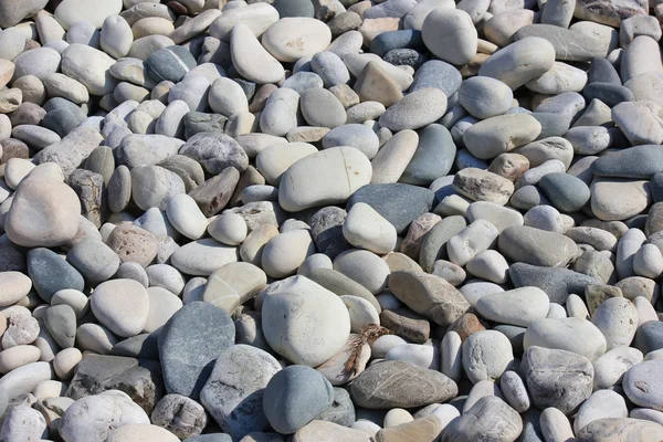 海の小石のテクスチャ — ストック写真
