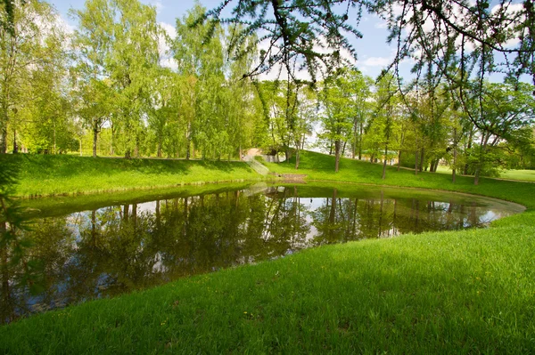 Jezero a louka v parku — Stock fotografie