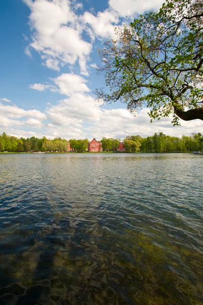 Beautiful lake in the center of the park — Stock Photo, Image