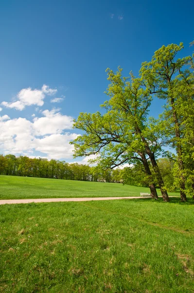 美丽的公园，在阳光明媚的一天 免版税图库图片