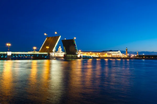 Vista noturna da Ponte do Palácio, São Petersburgo Fotos De Bancos De Imagens