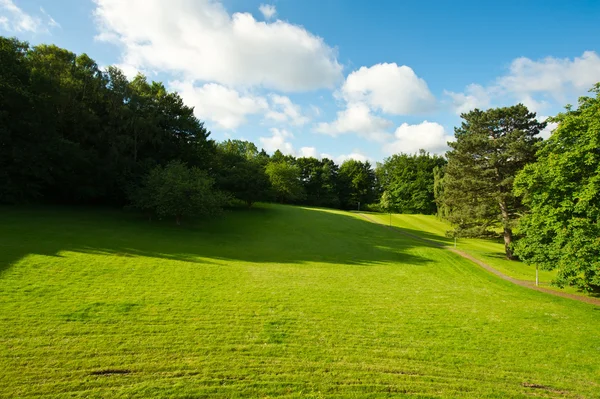 stock image Beautiful sunny nature landscape