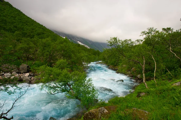 Природа и красота Норвегии — стоковое фото