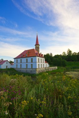 gatchina, st petersburg, Rusya banliyösünde sarayda tarikat