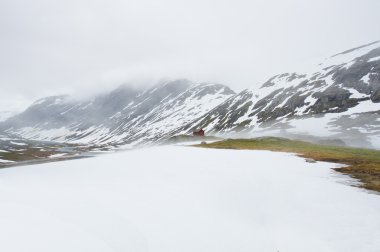 Norveç 'in güzel manzarası.