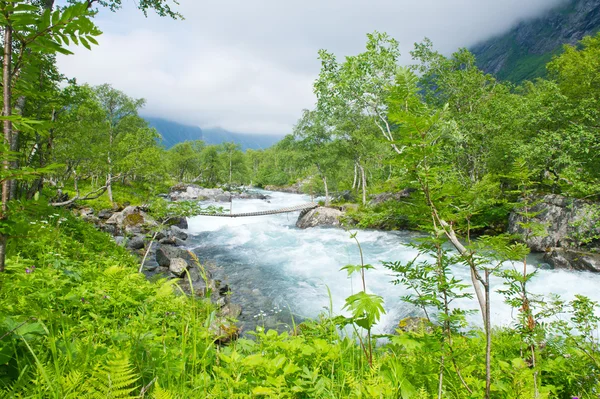 Água fervente de um rio nas montanhas norwegian — Fotografia de Stock