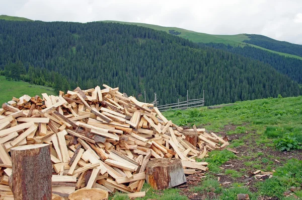 stock image Wood pile