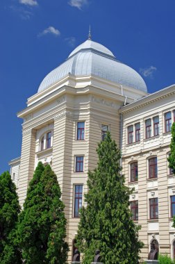 University Iasi