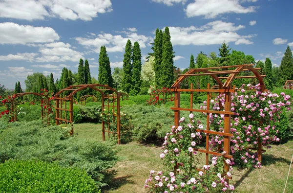 Letní zahrada — Stock fotografie