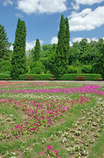 Botanical garden — Stock Photo, Image