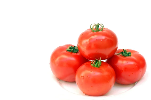 Vier Tomaten — Stockfoto