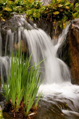 Chinese Garden Waterfall