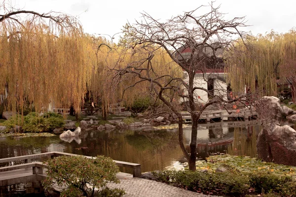 Chiński ogród przyjaźni — Zdjęcie stockowe