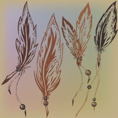 Feathers with ropes in the shaman's style clipart