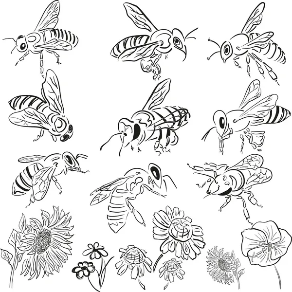 Διάνυσμα μέλισσες με λουλούδια — Διανυσματικό Αρχείο