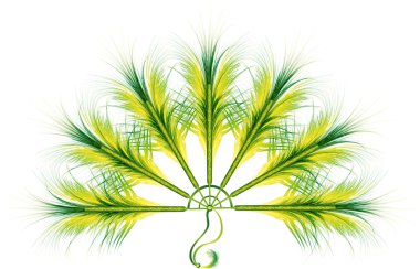 Feather fan clipart