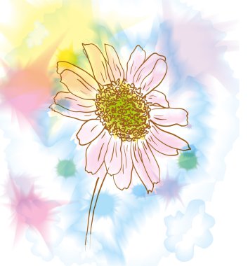 Chamomile watercolor clipart