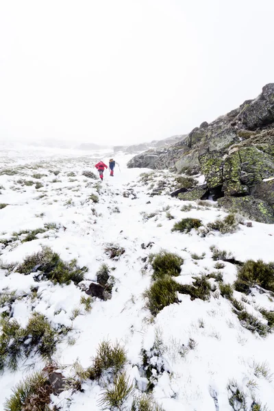 Hikers in snowed mountain — Stock Photo, Image