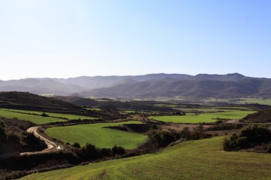 Kastilya alanları