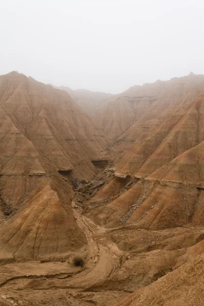 stock image Desertification