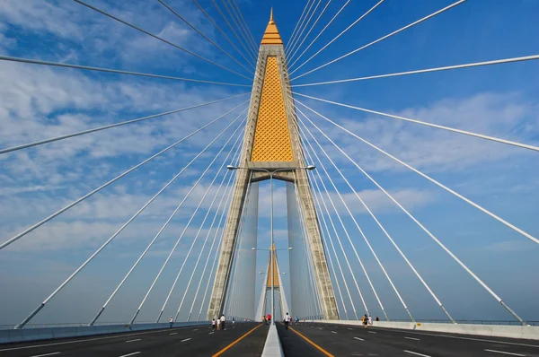 Kabel bridge — Stockfoto