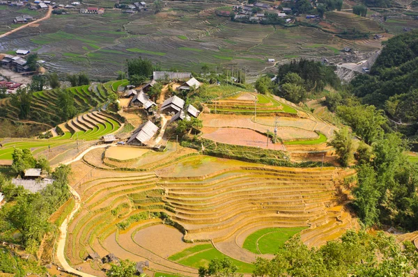 Rýže terasovitých polí v kopci pokolení vesnice — Stock fotografie