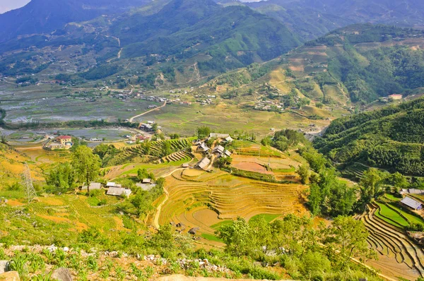 Landskap av terrasserade risfält — Stockfoto