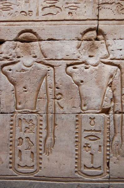 Єгипетський вигравірувано зображення — стокове фото