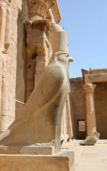 Statue of Horus — Stock Photo, Image