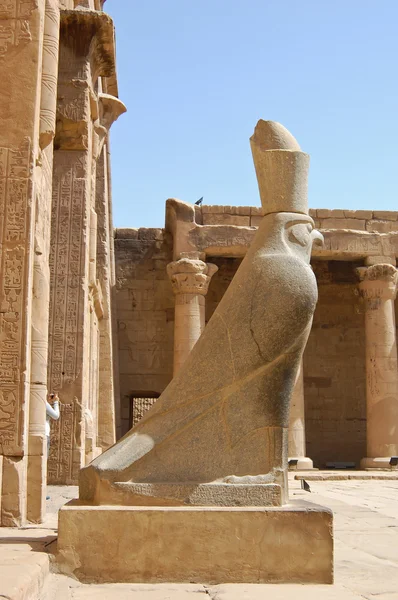 Horus heykelinin — Stok fotoğraf