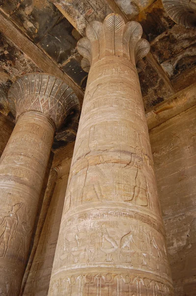 Colunas de papiro — Fotografia de Stock