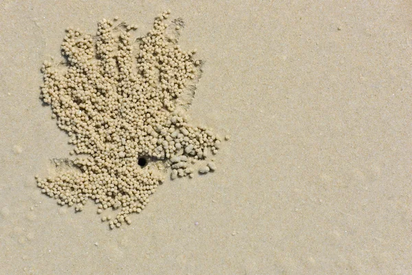 海滩细砂 — 图库照片