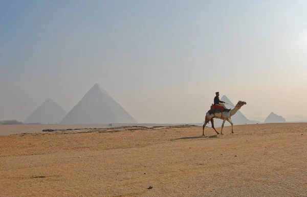 Πυραμίδες της Γκίζας — Φωτογραφία Αρχείου