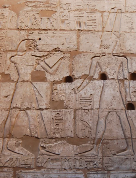 Mısır tanrısı kabartması — Stok fotoğraf