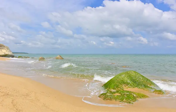 Deniz kaya ile — Stok fotoğraf