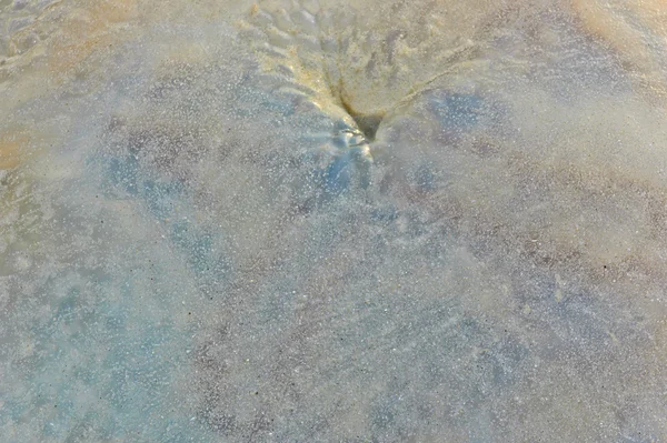 Meduza powierzchni — Zdjęcie stockowe