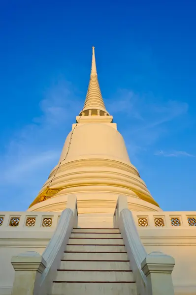 Vit pagod — Stockfoto